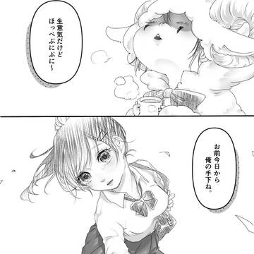 ベルマモとベルハルとベルフラを振り返って思うこと