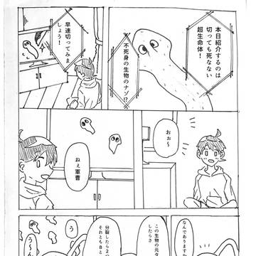 ケロロ軍曹の死んだ日
