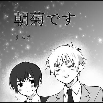 朝菊です
