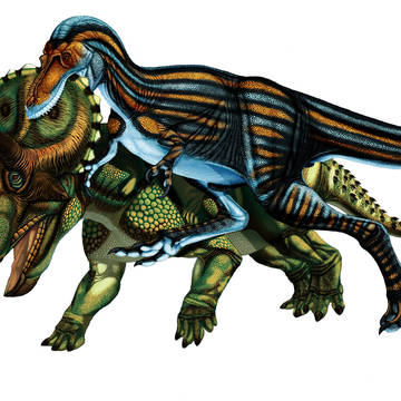 Nanotyrannus in Color