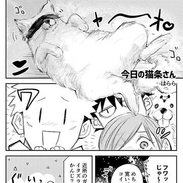 今日の猫条さん(web再録)