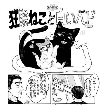 狂聡ねこと白いヘビ