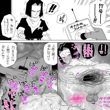 17号