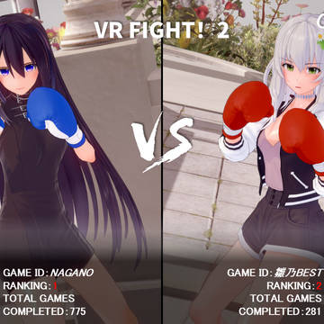 VR FIGHT!2