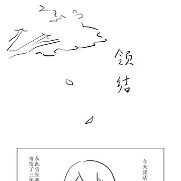 领结