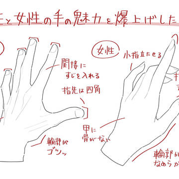男性と女性の手の魅力を爆上げしたい人へ