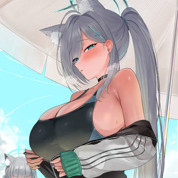Shiroko terror