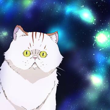 【閃光のハサウェイ】四春(フォーチュン)