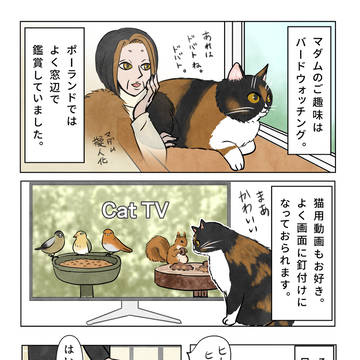 マダムのご趣味