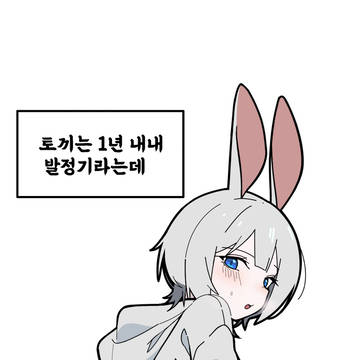 토끼잇