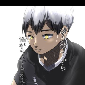 模写北さん/銀/双子銀