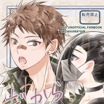 【通販案内】【レナトスF2602】新刊　立銀ちゃん本