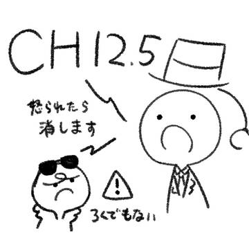 CHまとめ12.5