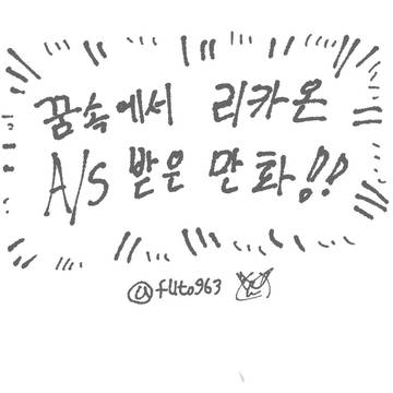 꿈에서 본 리카온 A/S 만화