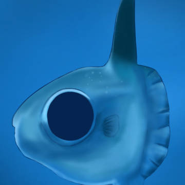 鬱マンボウ