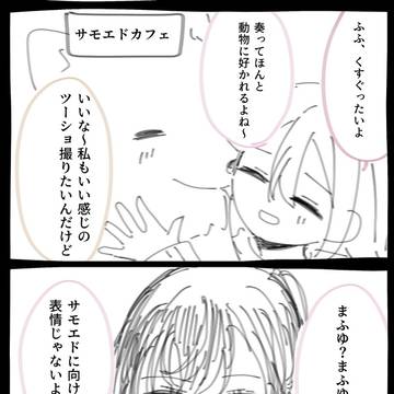 サモエドと奏