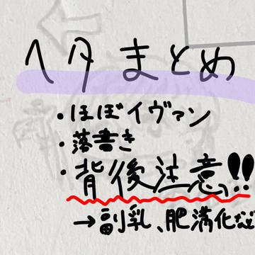 ヘタまとめ1