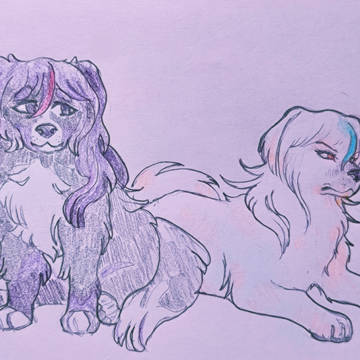 Dogs