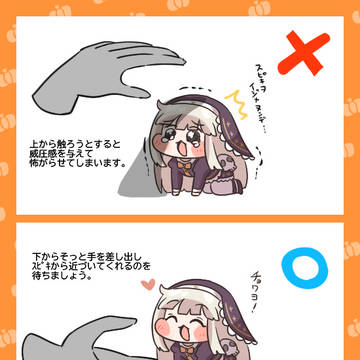 ｽﾋﾟｷチョワヨ