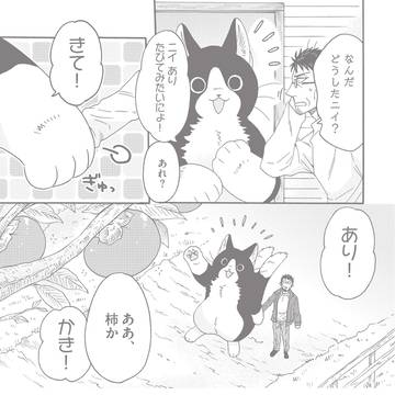 ねこまたとあさごはん51