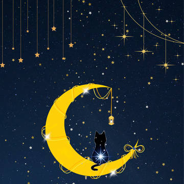 月夜の猫