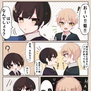 2685歳のベビーフェイス 朝菊