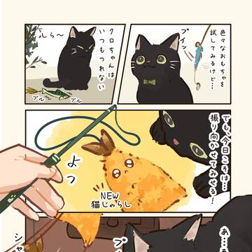 クロちゃんを振り向かせたい！🐈‍⬛