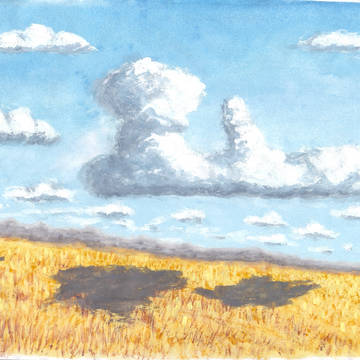 野原の上の雲