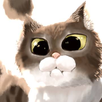 逆光猫