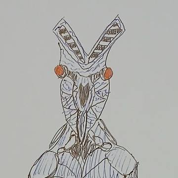 バルタン星人
