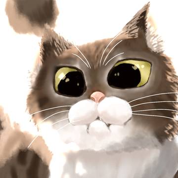 逆光猫 ヒゲあり