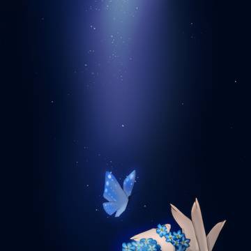 forget me not