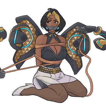 Domina Overwatch