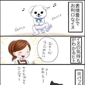 交流所のイヌ