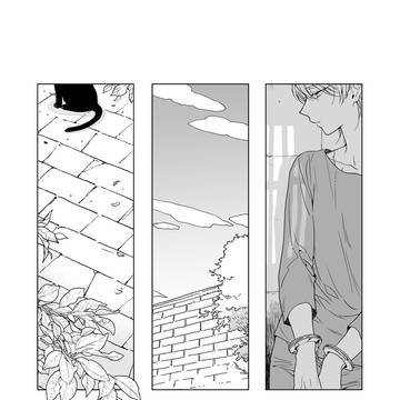 伊奈スレweb再録『箱庭の猫』