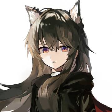 破翼者