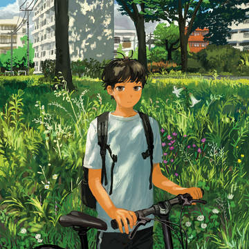 夏の光