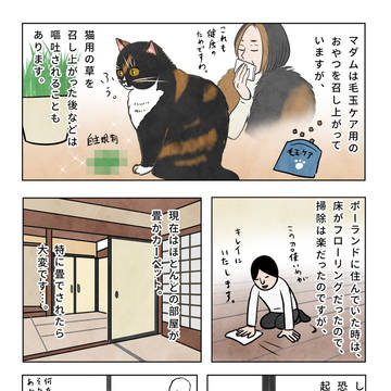 マダムの優しさ🌹