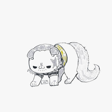 やんのかﾍﾞ🐱