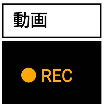 動画