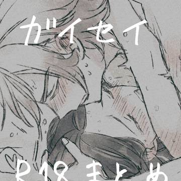 ガイセイR18まとめ