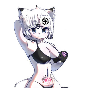 猫猫