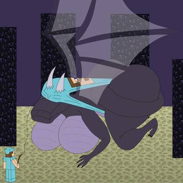 Ender Dragon Wedgie