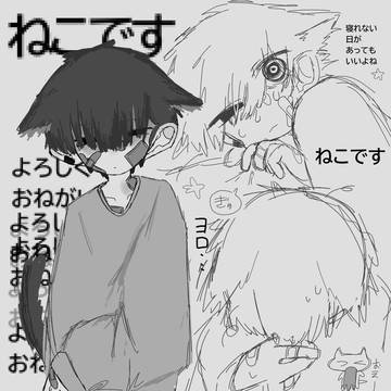 猫は可愛い