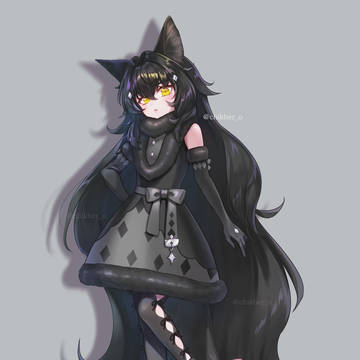 Long-haired black cat