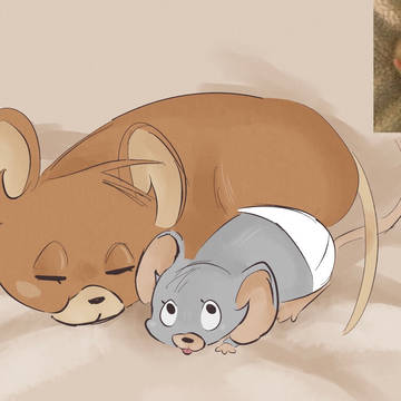 funny animals