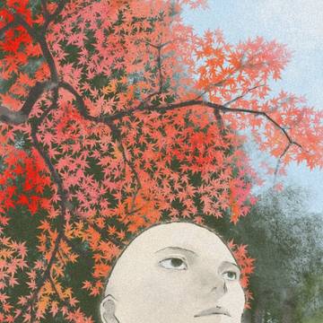 紅葉│Japanese maple