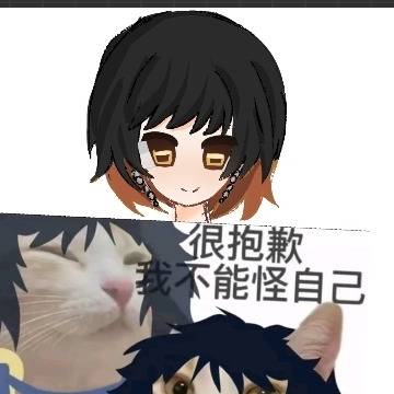 朱砂丸草稿流