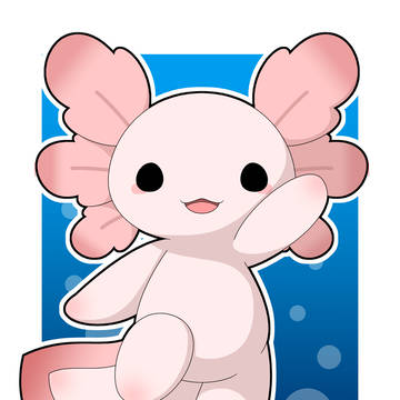 アホロートル