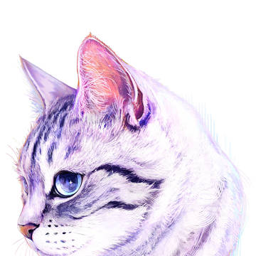 蒼